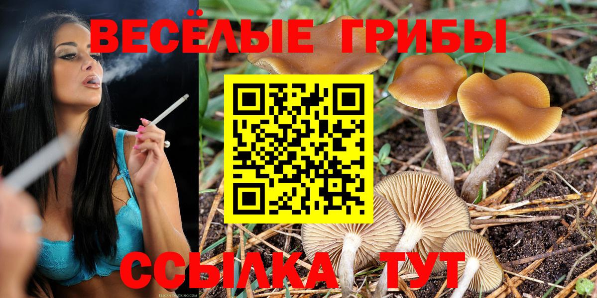 Псилоцибиновые грибы мухоморы Чернушка