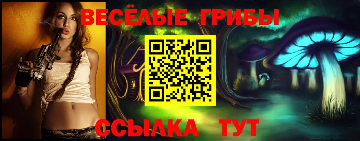 Чернушка  Галлюциногенные грибы Psilocybine cubensis  Псилоцибиновые грибы ЛСД  Вход с VPN 