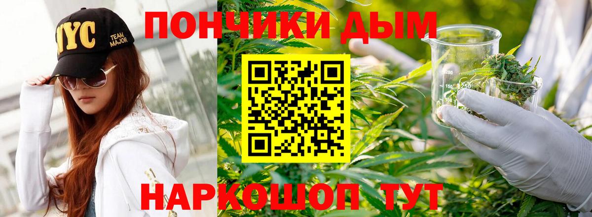 Бошки марихуана план  Вход с VPN  Чернушка  Канабис Bruce Banner  Марихуана White Widow 